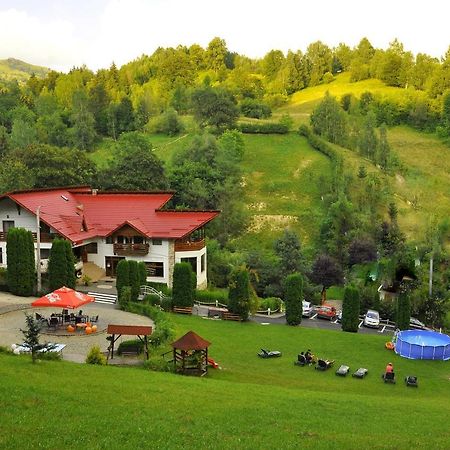 Pensiunea Eladi Borşa Buitenkant foto