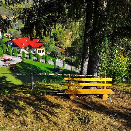 Pensiunea Eladi Borşa Buitenkant foto