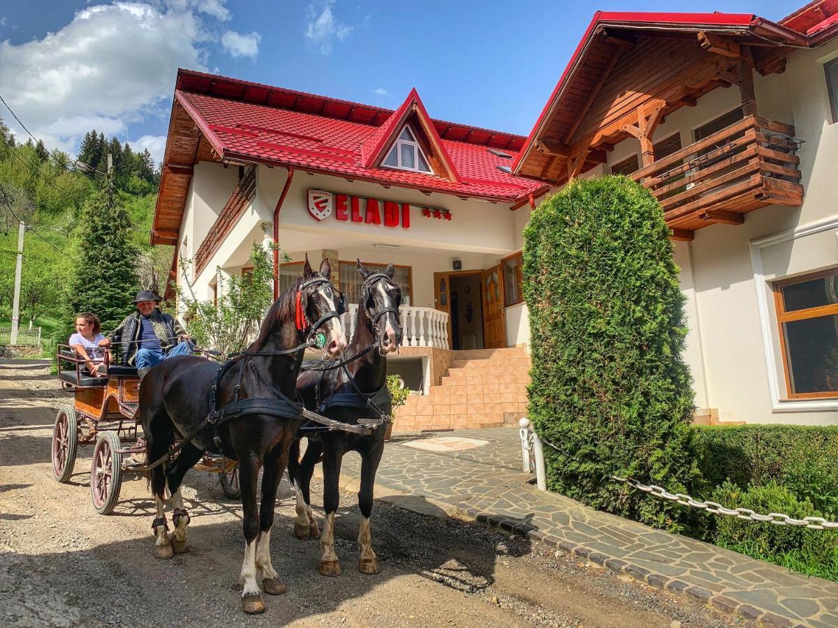 Pensiunea Eladi Borşa Buitenkant foto