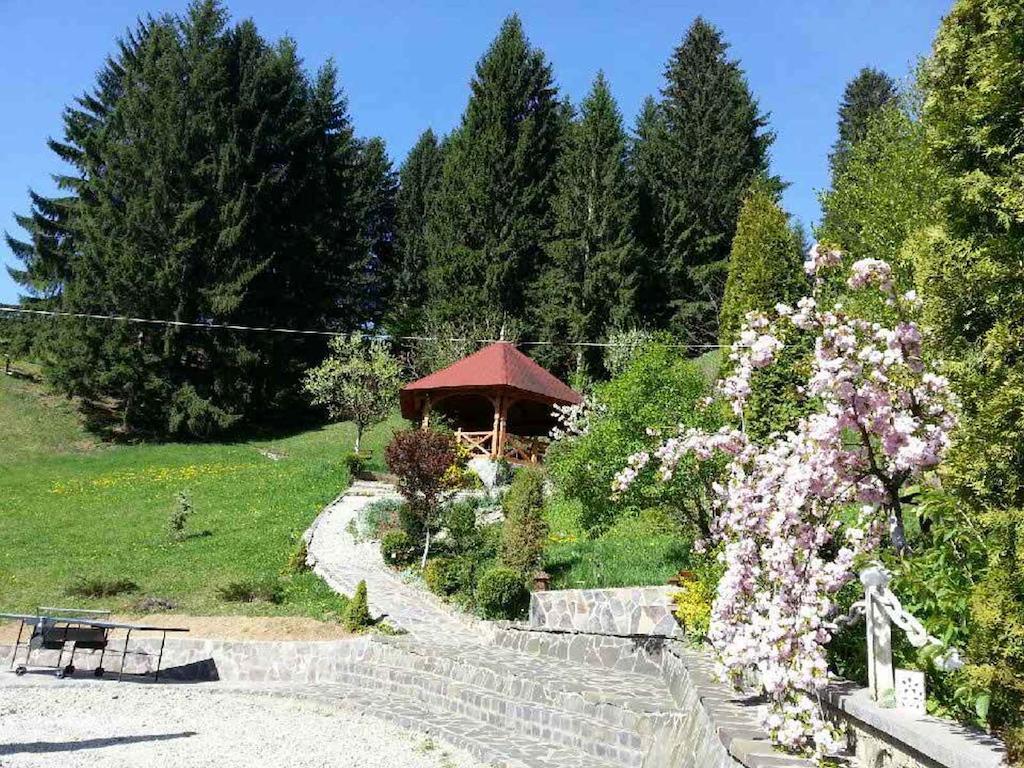 Pensiunea Eladi Borşa Buitenkant foto