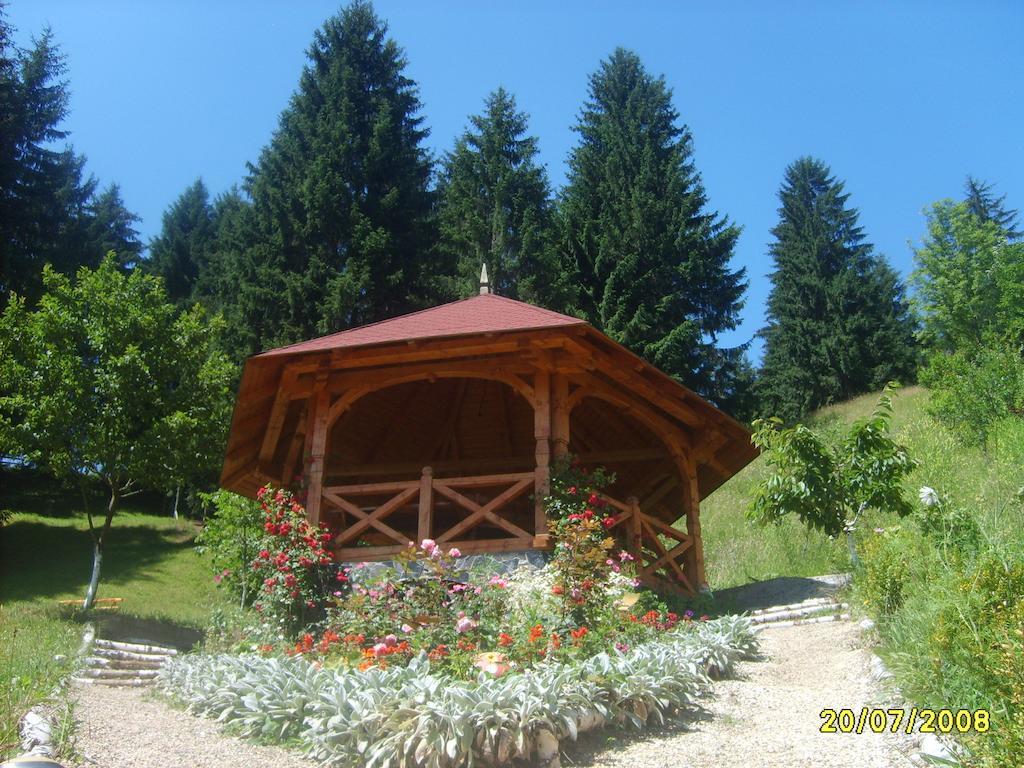 Pensiunea Eladi Borşa Buitenkant foto