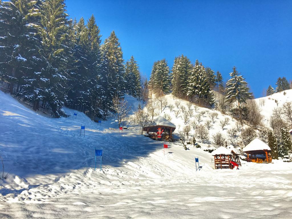 Pensiunea Eladi Borşa Buitenkant foto