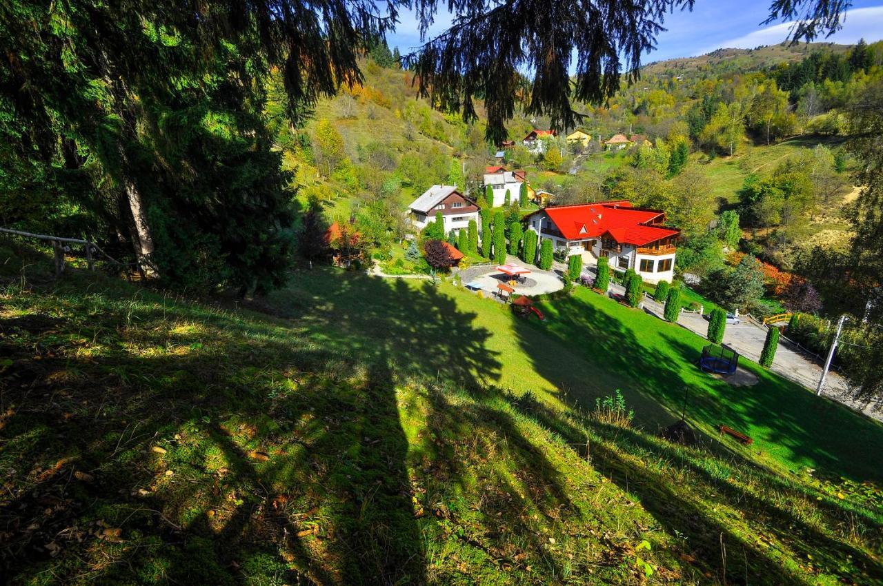 Pensiunea Eladi Borşa Buitenkant foto