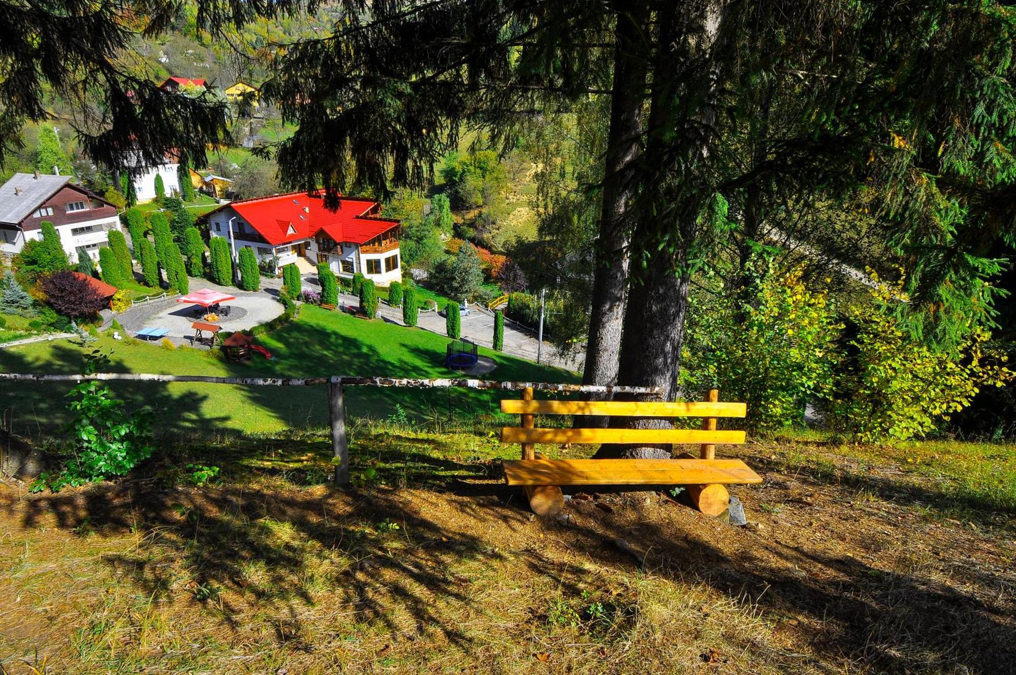 Pensiunea Eladi Borşa Buitenkant foto